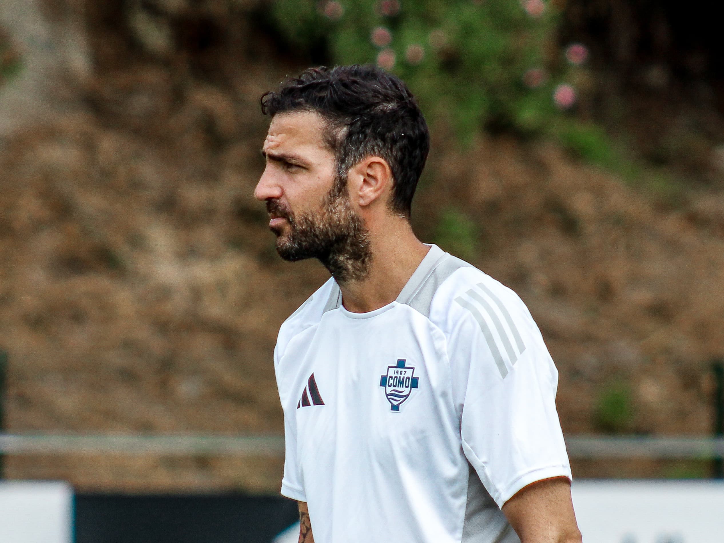 Como, Fabregas frena sugli obiettivi: "Basta poco per parlare di fallimento"